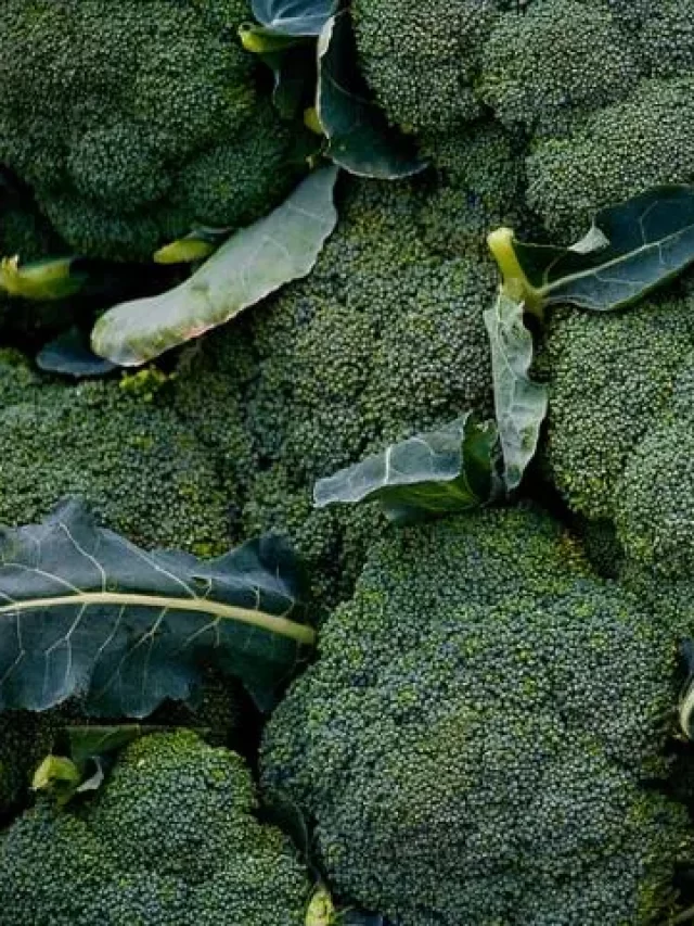 cropped-broccoli.webp