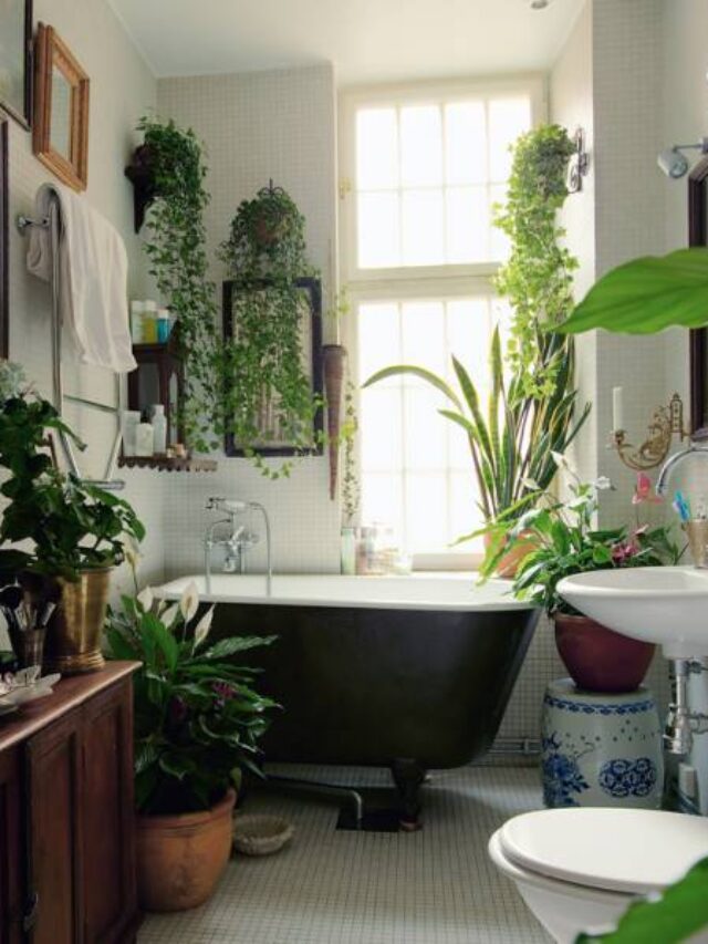 The Best Bathroom Plants That Thrive In Humidity And Help You Feel ...